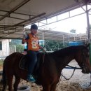 (주)신갈승마클럽 이미지