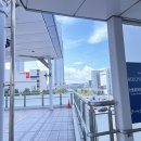 야로파출소 | 220808~220814*우여곡절 출국과 인생 첫 생카