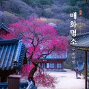 화엄사 관광안내소 | 구례 화엄사 3월 매화명소 국내여행지추천