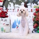 아콩하우스 이미지