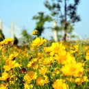 합강캠핑장(관리사무소) 이미지