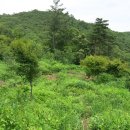 서한농장 이미지