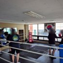 상록복싱체육관 이미지