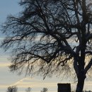 다정한오후 이미지