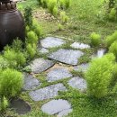 통나무민박3 이미지