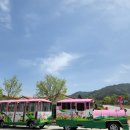 허브밸리(전망대) 이미지