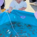 세븐일레븐 평택은혜로점 | 평택 은혜로 벚꽃축제 현실 후기ㅣ아이들이 더 좋아한 푸드트럭·물고기잡기·바이킹(4/3-4/12)