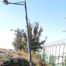 극락둑길 이미지