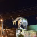 세븐일레븐 수영점 | [여자 혼자 치앙마이 여행] 6박8일 DAY5~6 올드타운 밤산책(ft. 치앙마이 세븐일레븐 털이)