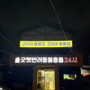 굿펫