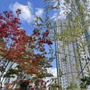 동양무궁화아파트 앞 | 가을축제 아파트 마을공동체 행사 참여 | 무궁화 키링 만들기, 페이스페인팅 체험 ,바람개비 만들기