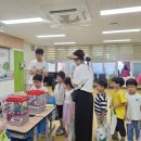 외암초등학교 이미지