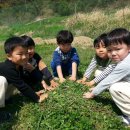 진주숲어린이집 이미지