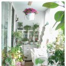 초록정원 이미지