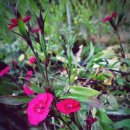 삽재농장 이미지