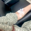 김샌도 | 6월 일상2 (미모의 치즈냥이 다수 출연)