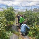 폴개네제주드림캠프 이미지