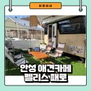 펠리스뻬로 | 안성애견카페 펠리스뻬로 파크 다녀온 후기