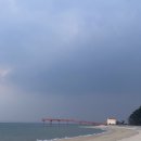 천북1 | 보령 천북 굴단지 : 천북굴맛집 황포네 굴집 후기