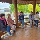 무을초등학교 | 무농약 인증 꾸지뽕 따기 체험, 구미정농 10월 팜투어 구미 무을 청정 하늘농장 방문 후기