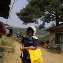 랑잠 Daum카페