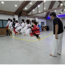 한국체대영우태권도