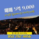 골드공인중개사사무소 | 부산시 사하구 괴정동 골드공인중개사사무소 실매물 아파트 매매