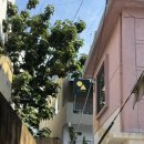 족발하우스(HOUSE) | [부산/전포] 식사와 차를 함께 즐길 수 있는 🍵“옥산티하우스”여름 티코스 내돈내산 후기