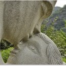 대한수목원 이미지
