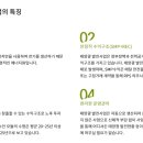 양구태양광발전소 이미지