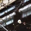 금호동주민자치센터 이미지