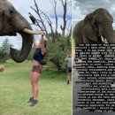 상아헬스 이미지