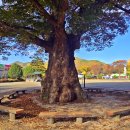 백봉초등학교 이미지