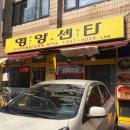 꼬꼬센타 이미지