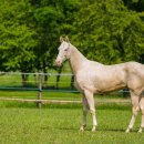 중앙광택 이미지