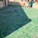 경산자인우체국 이미지