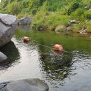 청솔민박펜션 이미지