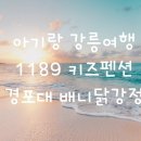 1189펜션 네이버블로그