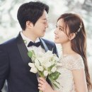 서울 정에프앤비 서울신문