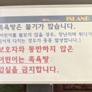 스파아일랜드 티스토리