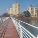 장자호수공원(반려견놀이터) | 용인 기흥호수공원 10km 한 바퀴 후기! 반려견놀이터부터 조정경기장, 전망데크까지 완벽 산책 코스