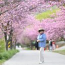 문*수 - 안양시 만안구 | 문*수