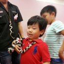 승민애견 이미지