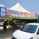 번암농장 이미지