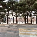 예스노스튜디오 이미지