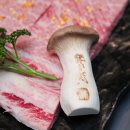 상강한우 이미지