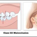 샤인치과교정과 치과병원 이미지