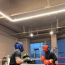 STORM BOXING 이미지