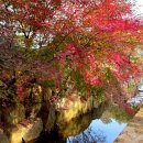 마동-29 | 2025. 11. 23 <늦가을의 경주 2일차>