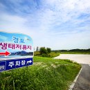 신라이사부독도참치 이미지